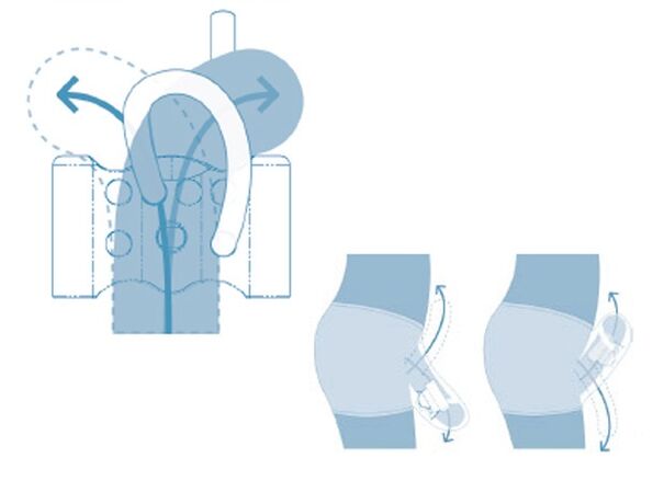 Sistema riproduttivo dell'adolescente